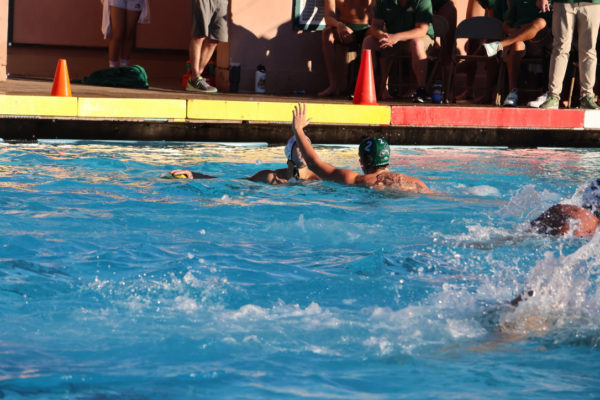 NCS-defense